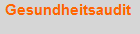 Gesundheitsaudit